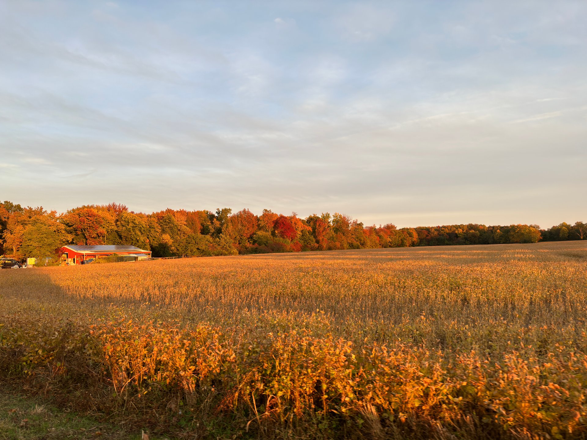 Gallery - shepherdswatchfarm